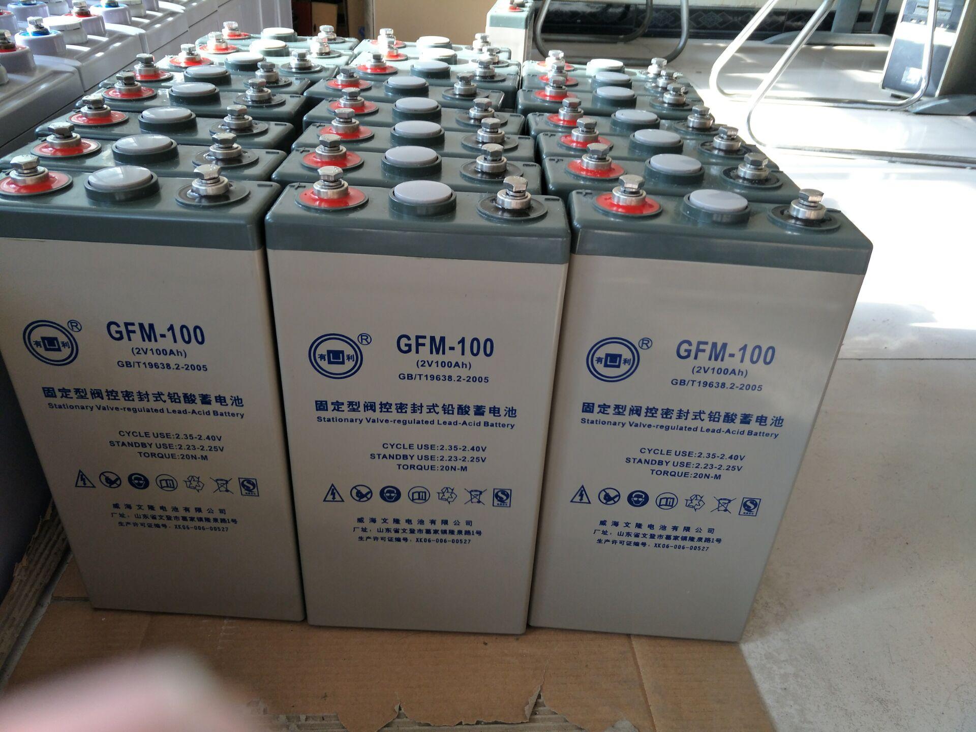 有利蓄電池GFM-100